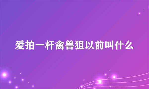 爱拍一杆禽兽狙以前叫什么