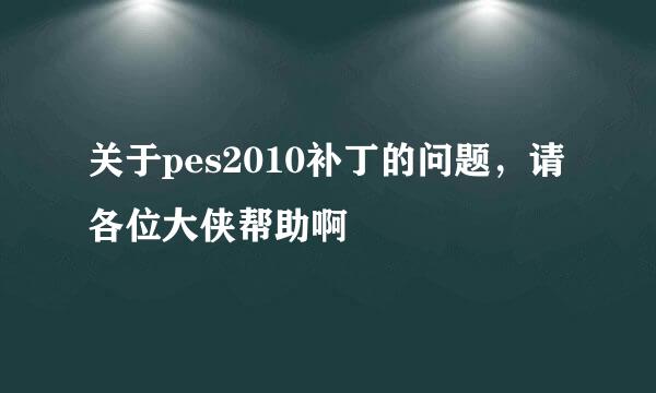 关于pes2010补丁的问题，请各位大侠帮助啊