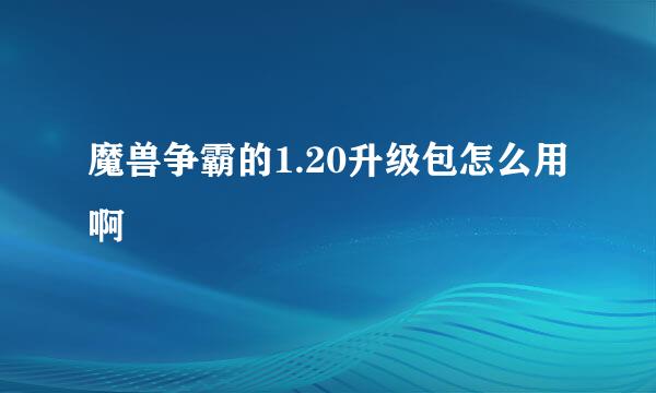 魔兽争霸的1.20升级包怎么用啊