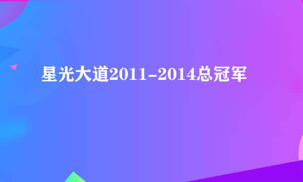 星光大道2011-2014总冠军