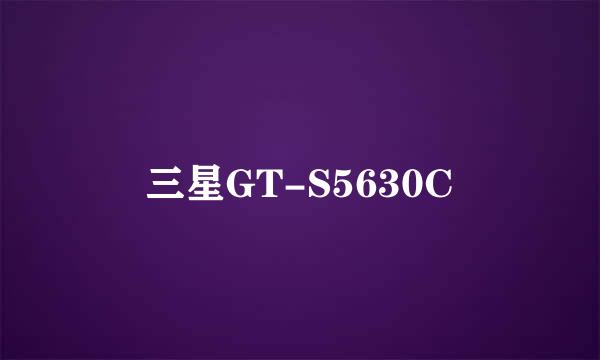 三星GT-S5630C