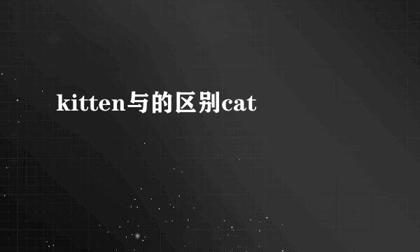 kitten与的区别cat