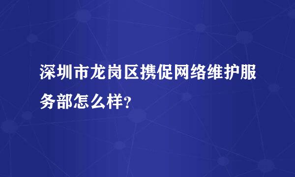 深圳市龙岗区携促网络维护服务部怎么样？