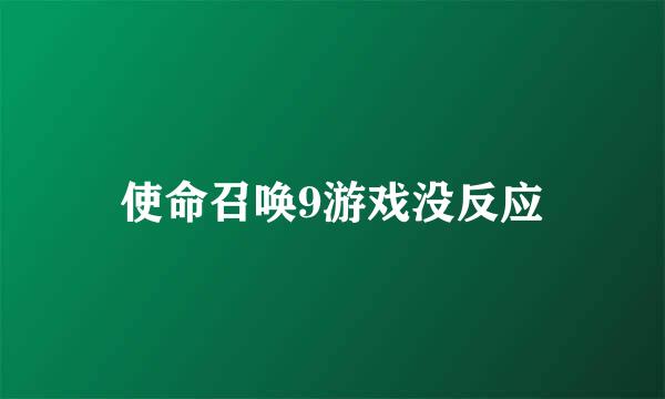 使命召唤9游戏没反应