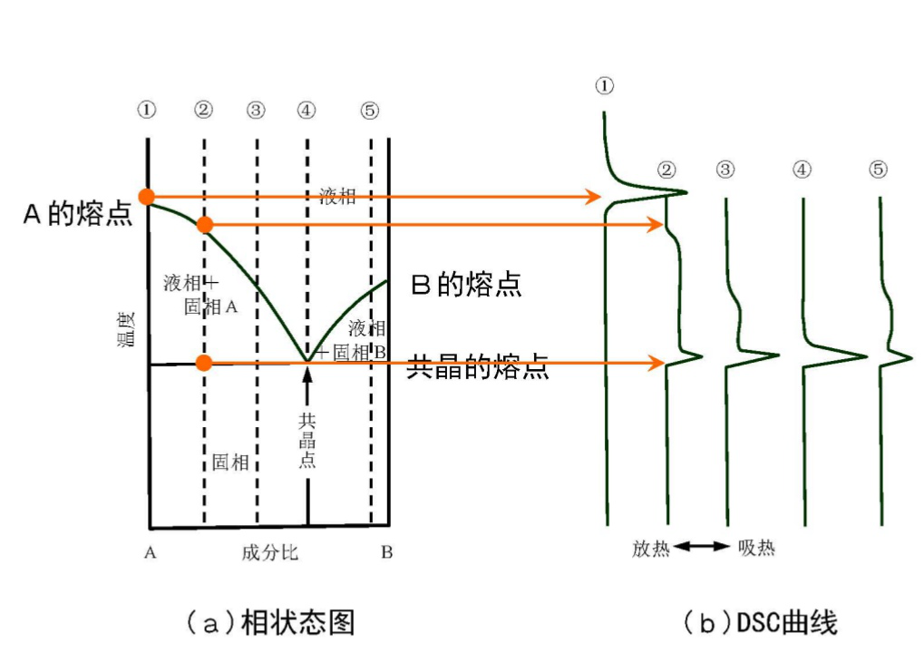 什么是dsc测试?