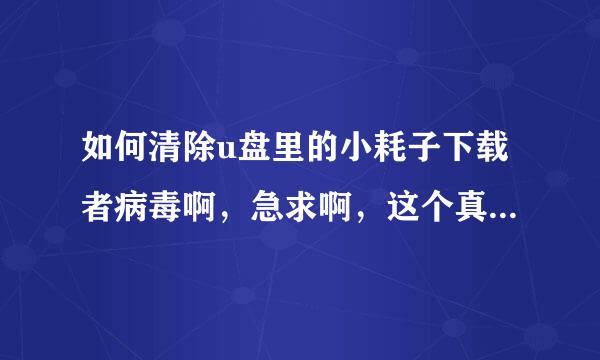 如何清除u盘里的小耗子下载者病毒啊，急求啊，这个真的很重要！！！