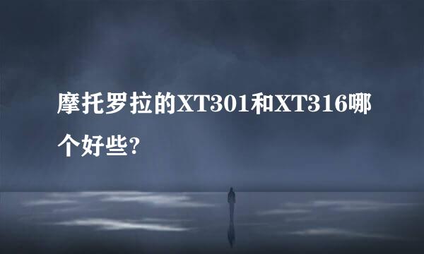 摩托罗拉的XT301和XT316哪个好些?