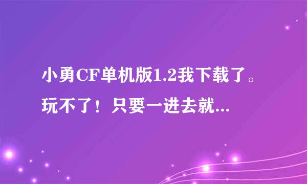 小勇CF单机版1.2我下载了。玩不了！只要一进去就会出现CDKYE的让输入代码，请问高手如何解决啊！要详细