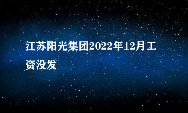 江苏阳光集团2022年12月工资没发
