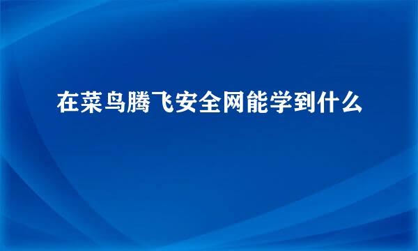 在菜鸟腾飞安全网能学到什么