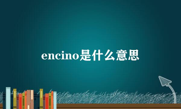 encino是什么意思