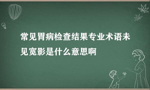 常见胃病检查结果专业术语未见宽影是什么意思啊