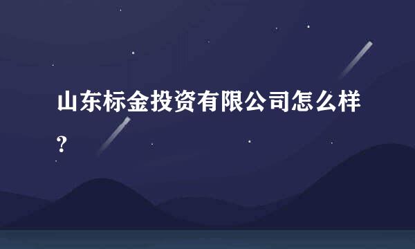 山东标金投资有限公司怎么样？