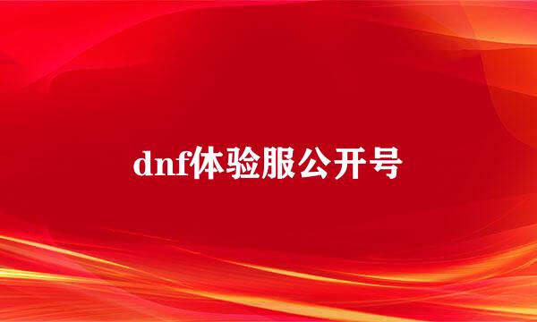 dnf体验服公开号