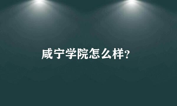 咸宁学院怎么样？