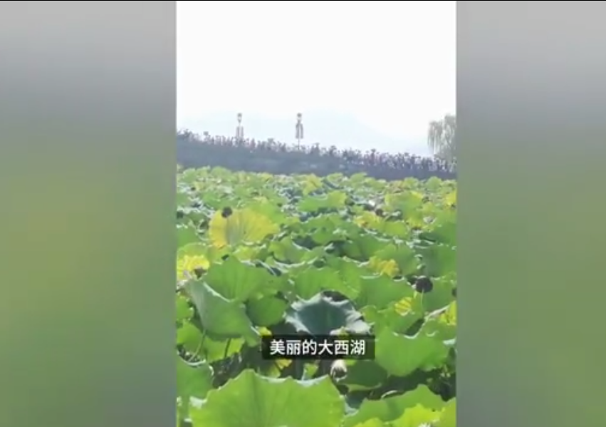 11岁男孩游西湖时蹲地上写作文，他为何在西湖前做作业？