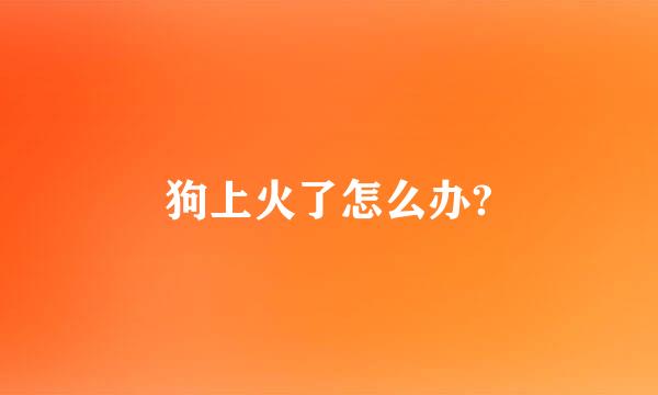 狗上火了怎么办?