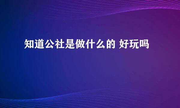 知道公社是做什么的 好玩吗