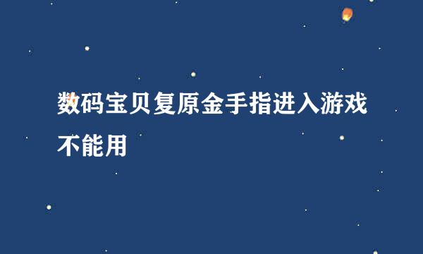 数码宝贝复原金手指进入游戏不能用