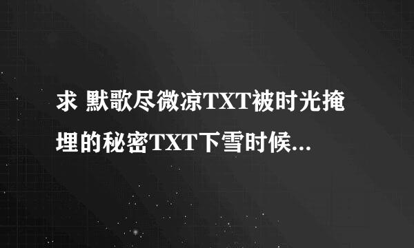 求 默歌尽微凉TXT被时光掩埋的秘密TXT下雪时候最温暖TXT陌陌谦行txt