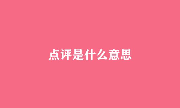 点评是什么意思