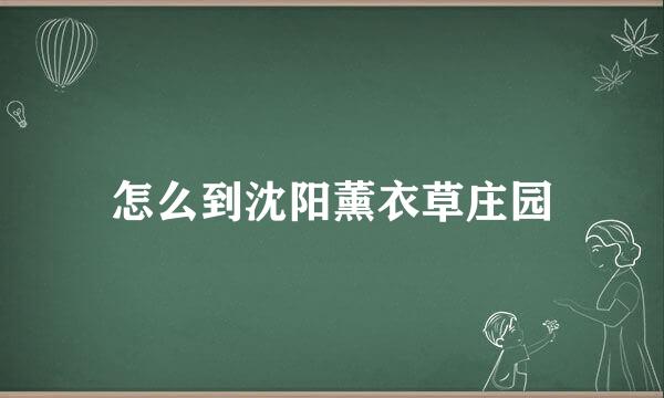 怎么到沈阳薰衣草庄园