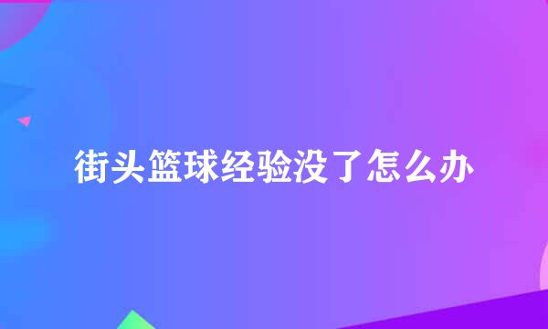 街头篮球经验没了怎么办