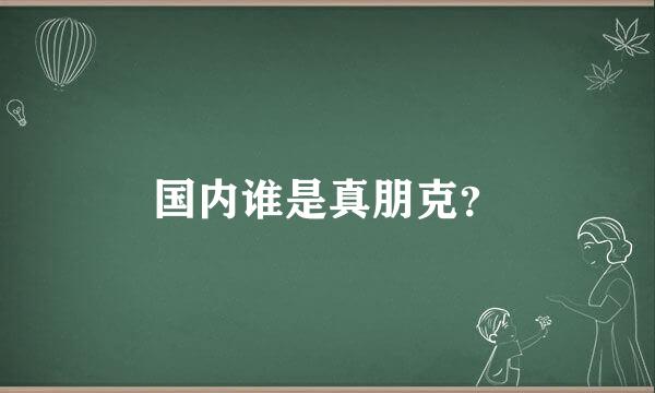 国内谁是真朋克？