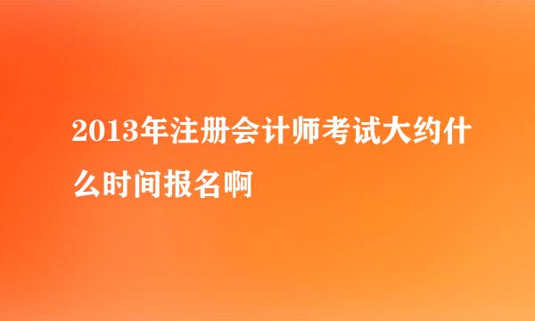 2013年注册会计师考试大约什么时间报名啊