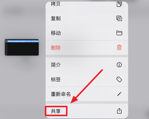 iphone5s铃声怎么换成歌曲