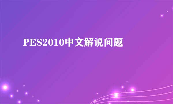PES2010中文解说问题