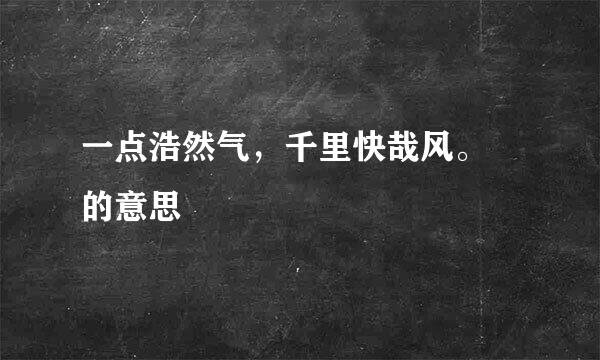 一点浩然气，千里快哉风。    的意思