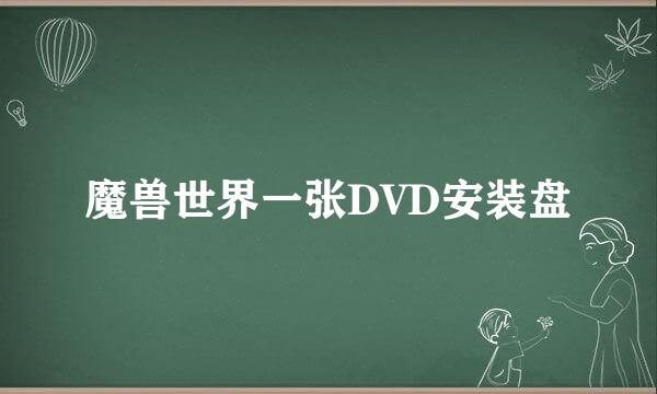 魔兽世界一张DVD安装盘