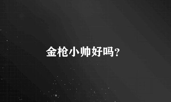 金枪小帅好吗？