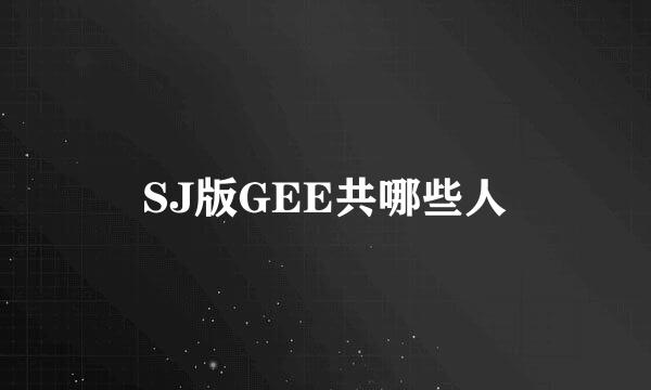 SJ版GEE共哪些人