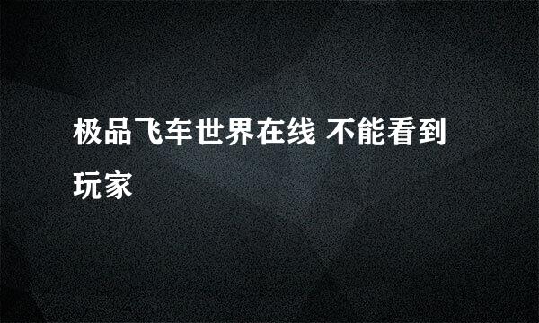 极品飞车世界在线 不能看到玩家