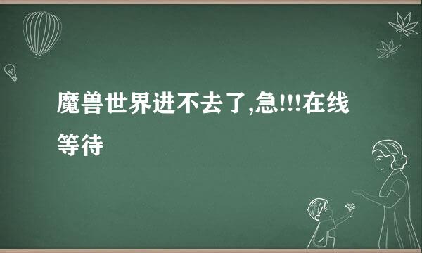 魔兽世界进不去了,急!!!在线等待