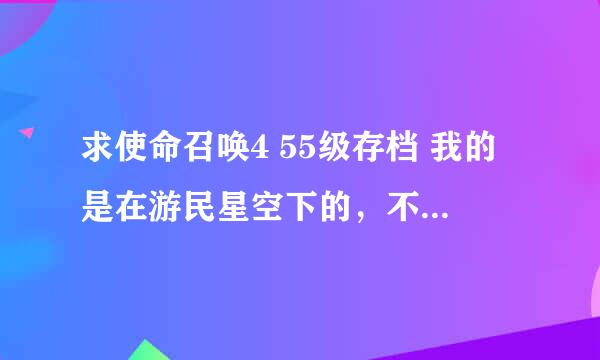 求使命召唤4 55级存档 我的是在游民星空下的，不用序列号，教教怎么用。