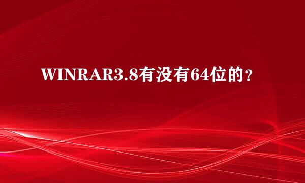 WINRAR3.8有没有64位的？