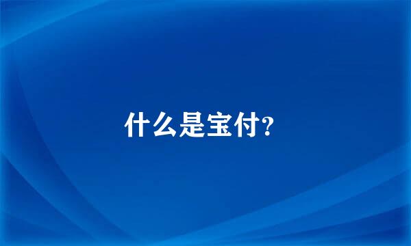 什么是宝付？