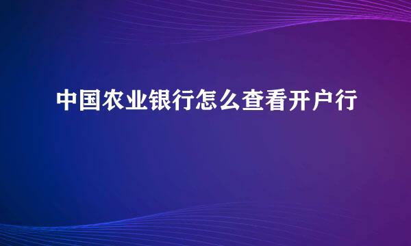 中国农业银行怎么查看开户行