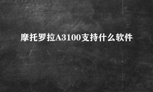 摩托罗拉A3100支持什么软件