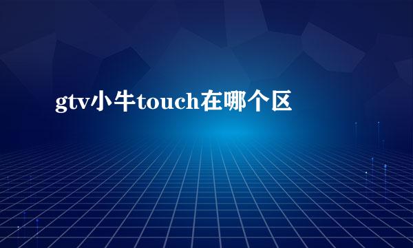 gtv小牛touch在哪个区