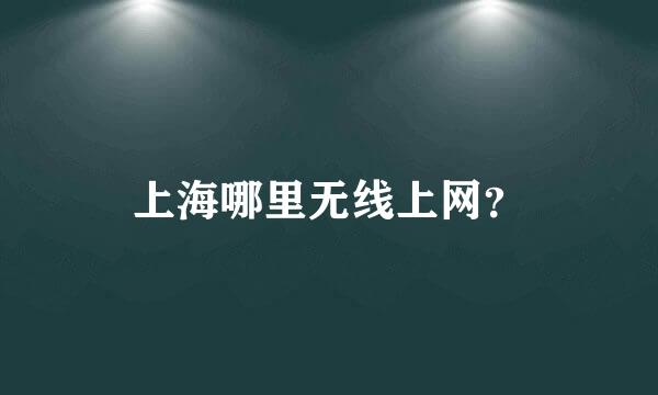 上海哪里无线上网？