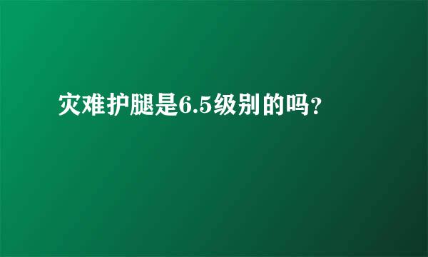 灾难护腿是6.5级别的吗？