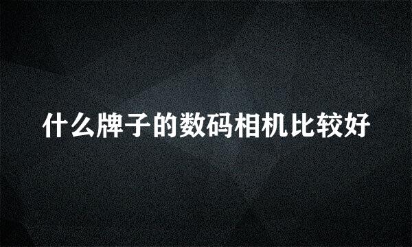 什么牌子的数码相机比较好