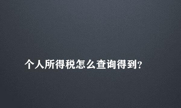 
个人所得税怎么查询得到？
