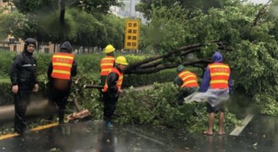 山竹台风会影响合肥吗