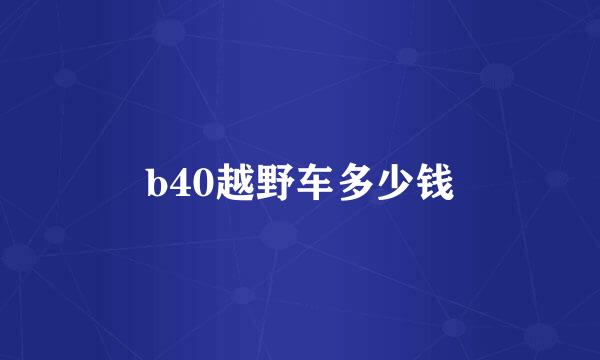 b40越野车多少钱