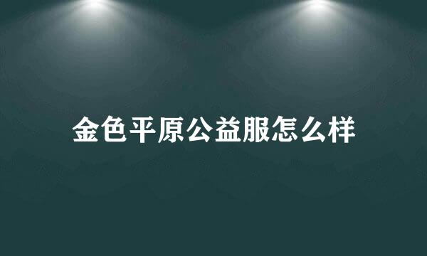 金色平原公益服怎么样